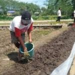 Peran Pupuk Organik