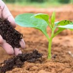 pupuk organik berbasis bakteri PT SLIN