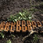 proses bioremediasi tanah terkontaminasi
